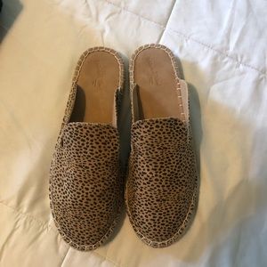 Animal Print Slip Ons (Never Worn!)